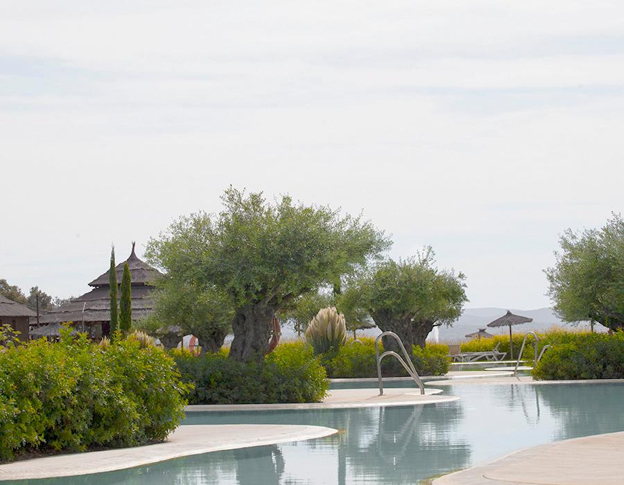 Vincci Valdecañas Golf 4* Vincci Valdecañas Golf 4* Cáceres Vincci Valdecañas Golf 4* Vincci Valdecañas Golf 4* Cáceres